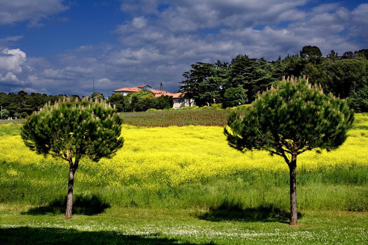 Residence Agata Nova Vas (Porec) ภายนอก รูปภาพ